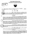 Vista preliminar de documento RDR 9201-2024