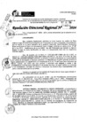 Vista preliminar de documento RDR 9202-2024