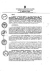 Vista preliminar de documento ra0991-2024