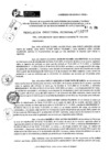 Vista preliminar de documento RDR 9207-2024