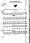 Vista preliminar de documento RDR 9209-2024