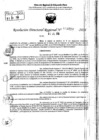 Vista preliminar de documento RDR 9210-2024