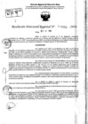 Vista preliminar de documento RDR 9211-2024