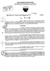 Vista preliminar de documento RDR 9215-2024
