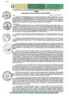 Vista preliminar de documento RGM-625-2024-GM-MPLC