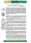 Vista preliminar de documento RGM-628-2024-GM-MPLC