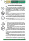 Vista preliminar de documento RGM-650-2024-GM-MPLC