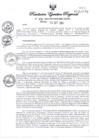 Vista preliminar de documento RE315-2024