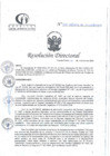 Vista preliminar de documento RD N°330-10-2024-DE-HCLLH-MINSA