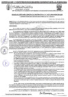 Vista preliminar de documento RGM 1232-2024
