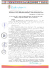 Vista preliminar de documento RA-336-2024-MDCH-A