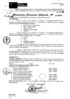 Vista preliminar de documento RDR 9666-2024
