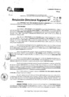 Vista preliminar de documento RDR 9667-2024
