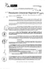 Vista preliminar de documento RDR 9671-2024