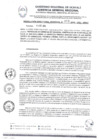 Vista preliminar de documento RDR0058-2024-ARAU