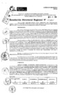 Vista preliminar de documento RDR 9685-2024