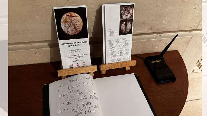 “Aprendizaje de los miedos”: Embajada del Perú en Japón inaugura exposición de la artista visual Patssy Higuchi
