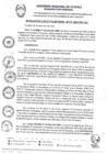 Vista preliminar de documento RER0313-2024