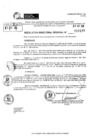 Vista preliminar de documento RDR 10197-2024