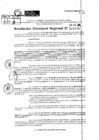 Vista preliminar de documento RDR 10198-2024