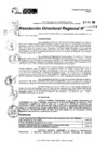 Vista preliminar de documento RDR 10024-2024