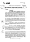 Vista preliminar de documento RDR 10025-2024