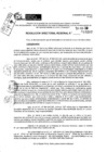 Vista preliminar de documento RDR 10207-2024