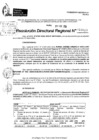 Vista preliminar de documento RDR 10027-2024