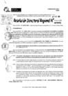 Vista preliminar de documento RDR 10028-2024