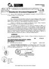 Vista preliminar de documento RDR 10029-2024