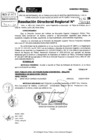 Vista preliminar de documento RDR 10031-2024