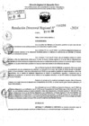 Vista preliminar de documento RDR 10209-2024