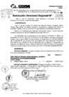 Vista preliminar de documento RDR 10032-2024