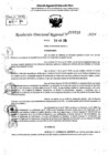 Vista preliminar de documento RDR 10210-2024