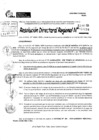 Vista preliminar de documento RDR 10034-2024