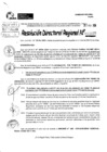 Vista preliminar de documento RDR 10035-2024