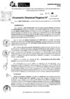 Vista preliminar de documento RDR 10037-2024