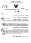 Vista preliminar de documento RDR 10212-2024