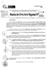 Vista preliminar de documento RDR 10043-2024