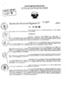 Vista preliminar de documento RDR 10235-2024
