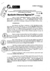 Vista preliminar de documento RDR 10053-2024