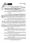 Vista preliminar de documento RDR 10054-2024