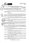 Vista preliminar de documento RDR 10055-2024