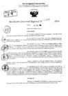 Vista preliminar de documento RDR 10237-2024