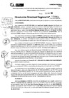 Vista preliminar de documento RDR 10061-2024