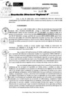 Vista preliminar de documento RDR 10063-2024