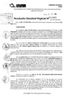Vista preliminar de documento RDR 10065-2024