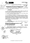 Vista preliminar de documento RDR 10261-2024