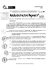 Vista preliminar de documento RDR 10080-2024