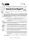 Vista preliminar de documento RDR 10081-2024